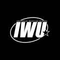 Independent Wrestling Universe